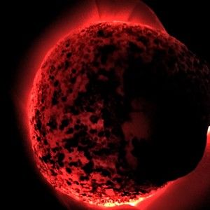 Meet your Posher, Tim